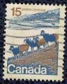 Canada 1972 Oblitr Animaux Bighorn Sheep Ovis Canadensis Mouflon Canadien SU