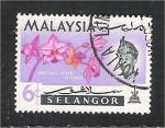 Malaya - Selangor - Scott 124  flower / fleur