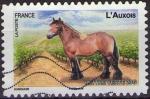  823 - Srie chevaux : l'Auxois - oblitr - anne 2013 