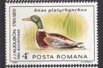 ROUMANIE - 1985 - Oiseau  -  Yvert 3582 Neuf **