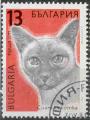 Bulgarie 1989 - Chat siamois, 10 cm - YT 3291 