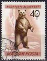 Hongrie 1961 - Jardin zoologique de Budapest : ours, 40 f - YT 1415 