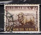 Afrique du Sud / 1953 / Blier mrinos / YT n 196, oblitr