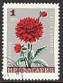 Bulgarie 1967 Y&T 1475 oblitr Fleur