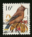 Belgique 1994 - Y&T 2534 - oblitr - oiseau (jaseur boral)