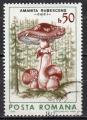 EURO - 1986 - Yvert n 3696 - Fard  joues (Amanita rubescens)