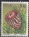 Afrique du Sud 1977 Used Plante Ladismith Sugarbush Protea Aristata SU