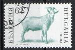 Bulgarie 1991; Y&T n3359, 62 s, faune, bouc
