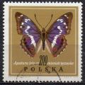 POLOGNE N 1655 o Y&T  1967 Papillons (Apatura iris)