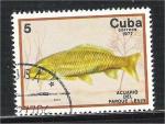 Cuba - Scott 2128   fish / poisson