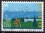 Suisse 1994; Y&T n 1445; 60c, centenaire de l'Ecole Nationale de sport Macolin