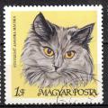 EUHU - 1968 - Yvert n 1949 - Persan fum (Felis silvestris catus)