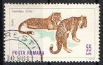 Roumanie 1964; Y&T 2058; 55b, faune, tigres