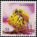 Allemagne 2010 Oblitr Insecte Apis Mellifica Abeille Bienen Y&T DE 2623 SU