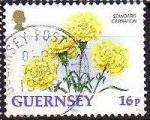 Guernesey 1992 - Fleur/Flower : oeillet/carnation, obl. - YT 569 / SG 572 