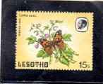 Lesotho neuf** n 569 cynthia cardui  LE34602