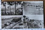 CP 06 Cannes - vue gnrale Palm Beach Croisette Port Plage multivues (1956)