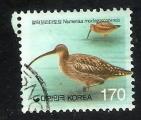 South Korea - X3  bird / oiseau