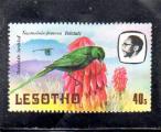 Lesotho neuf** n 450 Nectarinia famosa  LE34599