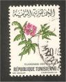 Tunisia - Scott 504  flower / fleur