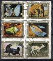 GUINEE EQUATORIALE - Animaux Sauvages - 