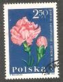 Poland - Scott 1288  flower / fleur