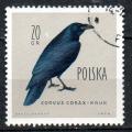Pologne Yvert N1071 Oblitr 1960 Grand corbeau