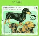 CHIENS - CUBA  N3193 OBLIT