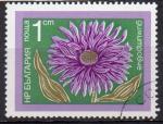 BULGARIE N 2094 o Y&T 1974 Fleurs des jardins (Reine marguerite)