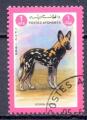 Timbre AFGHANISTAN  1984  Obl  N 1165  Y&T  Faune  Lycaon
