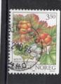 Timbre Norvge / Oblitr / 1996 / Y&T N1162.