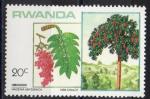 RWANDA N 1125 *(nsg) Y&T 1984 Arbres (Hagenta abyssinica)