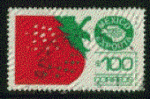 Mexique 1987 - oblitr - fraise