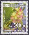 Timbre oblitr n 1903(Yvert) Madagascar 2010 - Fleurs