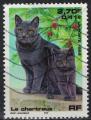 France 1999 Oblitr Cat Chat Le chartreux Srie Nature de France Y&T 3283 SU