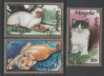 MONGOLIE N 1890  1892 o Y&T 1991 Faune chat