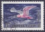 Timbre oblitr n 3803(Yvert) URSS 1972 - Oiseau marin