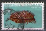 **   MADAGASCAR    20 F  1970  YT-479  " Huitre pineuse "  (o)   **