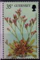 Guernesey 1988 - Florale Sarniensis de J. Gosselin, 35 p - YT 437 / SG 438 **