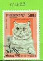 CHATS - CAMBODGE N1429 OBLIT
