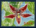 France 2005 - YT 3766 - cachet rond - orchide d'Aphrodite