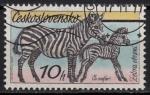 EUCS - Yvert n2181 - 1976 - Zbre des plaines (Equus quagga)