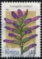 Roumanie 2022 Oblitr Used Fleur Plante Astragalus Roemeri Y&T RO 6914 SU