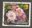 Guernsey - Michel 994   flower / fleur