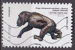 Timbre AA oblitr n 782(Yvert) France 2013 - Singe, chimpanz marchant