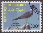 Timbre oblitr n 702(Yvert) Djibouti 1993 - Oiseau, goland  iris blanc