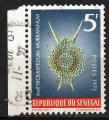  SENEGAL N 377 o Y&T 1972 Poissons et radiolaires (Ampicraspedium murravanum)