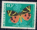 Hongrie 1969 Oblitr Papillon Callimorpha quadripunctaria caille chine SU