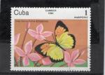 Timbre Cuba / Oblitr / 1984 / Y&T N2515.