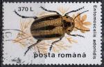 ROUMANIE N 4330 o Y&T 1996 Insectes (Entomoscelis adonidis)